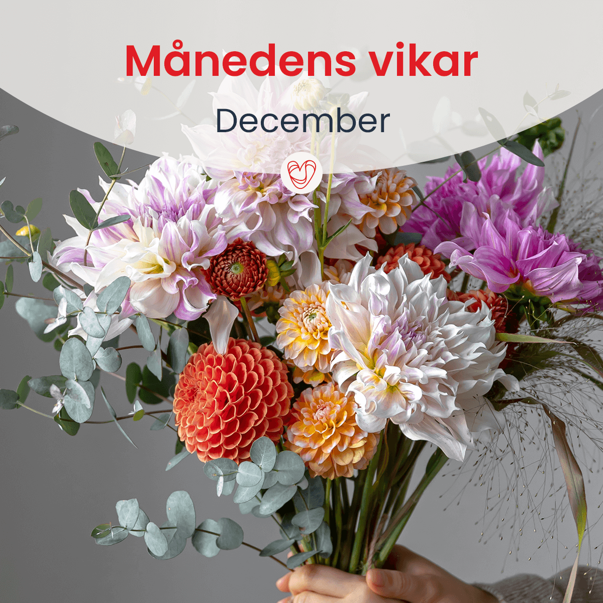 Månedens vikar - December | SOS VIKAR